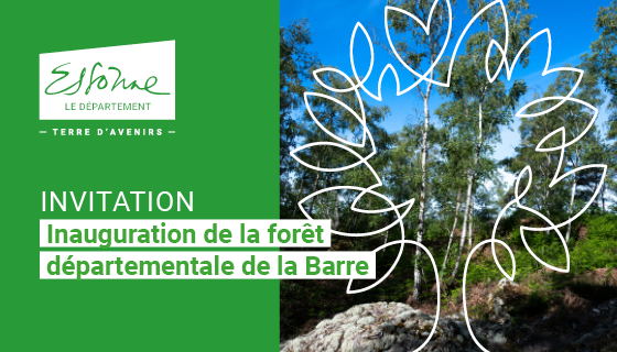 foret de la barre