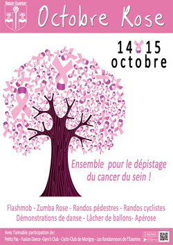 octobre-rose-2017-2.jpg
